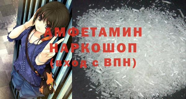 хмурый Няндома