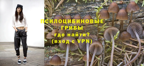 spice Новозыбков