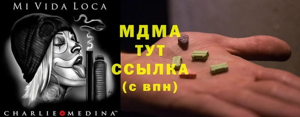 хмурый Няндома