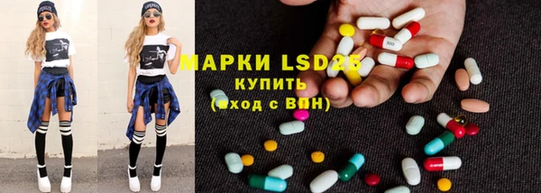 spice Новозыбков